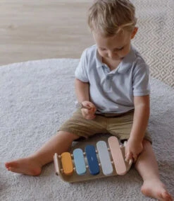Plan Toys Xylophone Toy -Odin Parker 0ddaf9f645259f6ea7f5a124c516f5ab20cfb254ee1c5fc437bdedfb2bf8724a jpeg