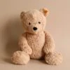 Steiff, Jimmy Teddy Bear, 16 Inches -Odin Parker 2J2A1249 2