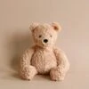 Steiff, Jimmy Teddy Bear, 12 Inches 1 Steiff, Jimmy Teddy Bear, 12 Inches -Odin Parker 2J2A1254 2