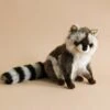 Hansa Raccoon Stuffed Animal -Odin Parker 2J2A1315 2