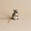 Hansa Mouse Stuffed Animal -Odin Parker 2J2A2313 2