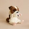 Hansa Bulldog Puppet -Odin Parker 2J2A2555 2