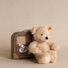 Steiff, Fynn Teddy Bear In Suitcase -Odin Parker 2J2A2834 2 7a4ae96a b206 49e1 8914 365218c9c098