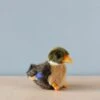 Hansa Baby Mallard Stuffed Animal -Odin Parker 2J2A3608 2