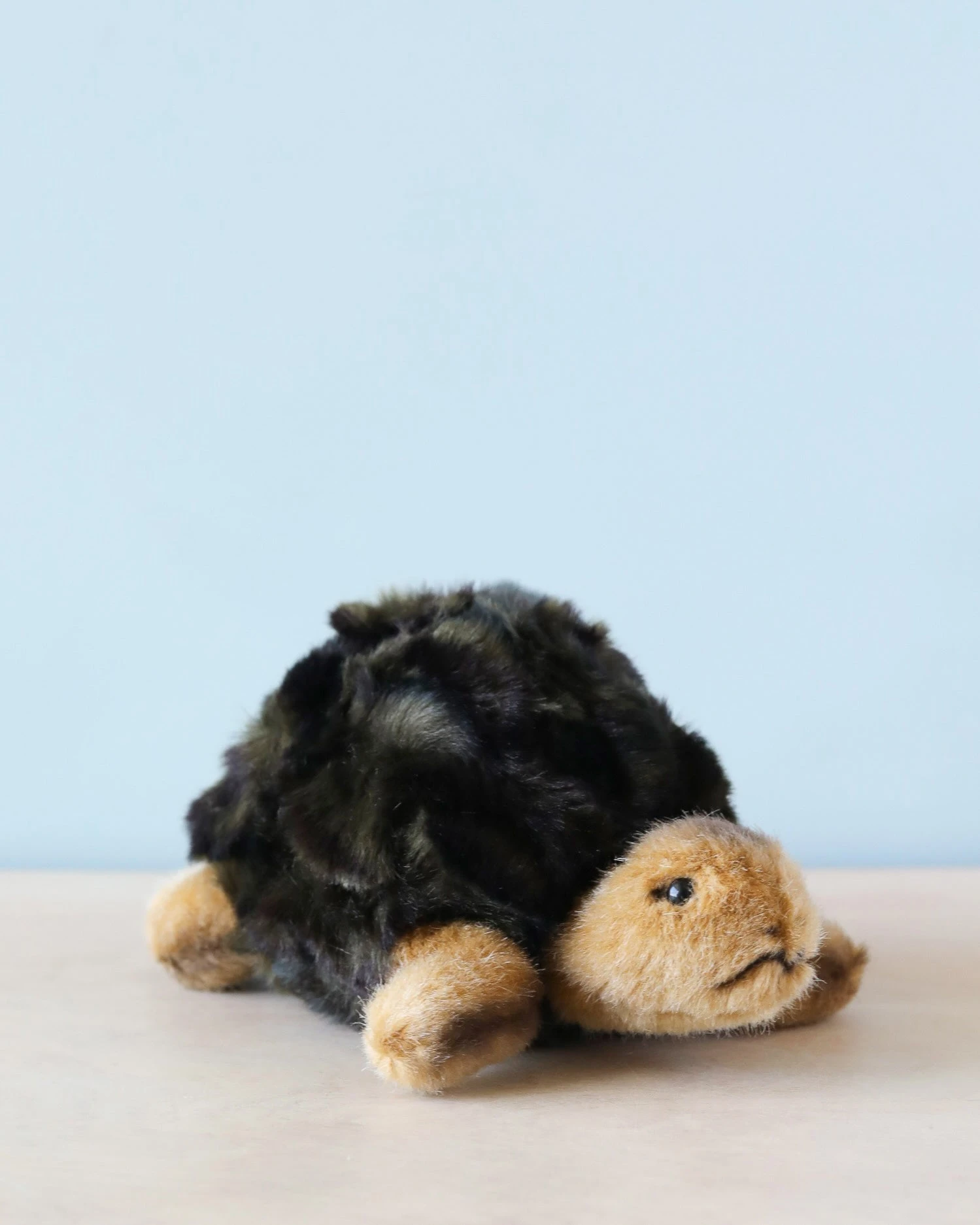 Steiff, Slo Tortoise 8" Plush Toy 4 Steiff, Slo Tortoise 8" Plush Toy - Image 2