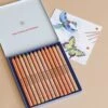 Stockmar Triangular Coloured Pencil Set - 12 -Odin Parker 2J2A4305 2