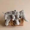 Senger Naturwelt Cuddly Animal - Elephant -Odin Parker 2J2A4824 2