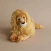 Steiff, Leo Lion Plush Toy -Odin Parker 2J2A4955 2