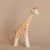 Ostheimer Giraffe - Running -Odin Parker 2J2A5541 2