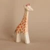 Ostheimer Giraffe - Standing -Odin Parker 2J2A5546
