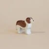 Ostheimer Saint Bernhard Dog -Odin Parker 2J2A7369