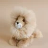 Fluffy Lion Stuffed Animal -Odin Parker 2J2A8070 2