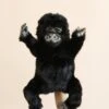 Hansa Gorilla Puppet -Odin Parker 2J2A9339 2