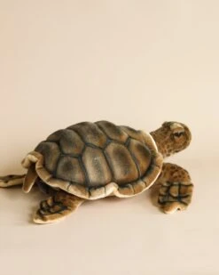 Hansa Sea Tortoise Stuffed Animal -Odin Parker 2J2A9891 2