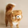 Hansa Pomeranian Dog Stuffed Animal -Odin Parker 2J2A9949 2
