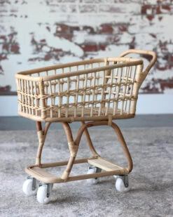 Rattan Grocery Shopping Cart -Odin Parker IMG 0473