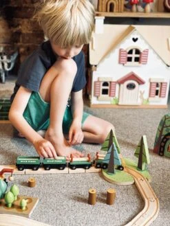 Tender Leaf Toys Wild Pines Train Set -Odin Parker TL8702 wild pines train set 12 jpg